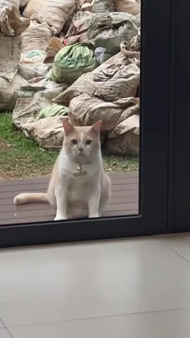 Tuhan aku ga banyak mintak… semua rezeki udah engkau kasih lewat dia.. dan sekarang aku mintak lagi, panjangin umur dia Tuhan…tidak mintak lama lama cukup 15 tahun lagi bersama aku sudah senang tuhan❣️