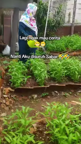 sabar 
