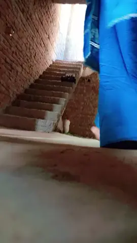 #varilvideo #varilvideo 