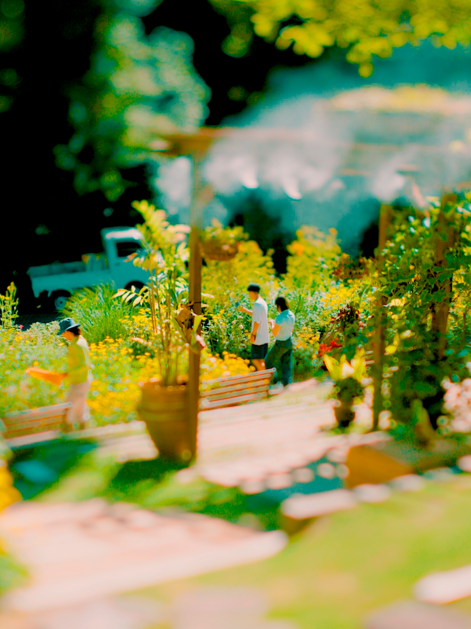 #神戸布引ハーブ園 #チルトシフト #tiltshift #tripjapan