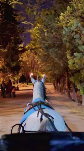 #kurdistan #erbil #samiabdulrahmanpark #kurd 