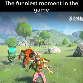 The Legend of Zelda The funniest moment in the game #zelda #zeldagame #game #breathofthewild #thelegendofzelda 