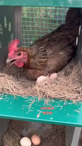 Time to get it for your girls #nestingbox #egglayingbox #chickencoop #chickenrun #nestingboxes 