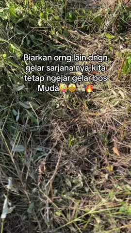 🤑#fyp #petanisawit #bosmuda #petanisukses #perintisbukanpewaris 
