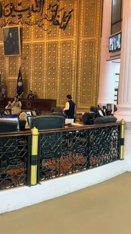 #nisarbaaz🕊 #flood #KPAssembly #foryou #anp 