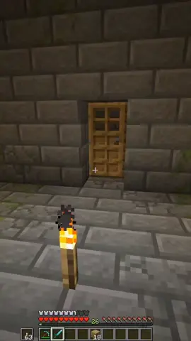 Tf is wrong with my portal #Minecraft #monstafox 