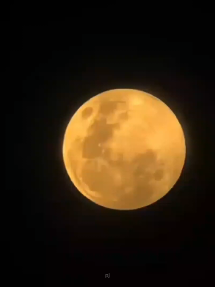 neon moon (cas cover) #neonmoon #cigarettesaftersexᅠᅠ #cas #cover #music 