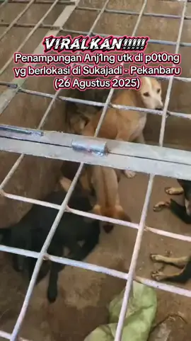@humaspolrestapekanbaru #fypシ゚viral #fyppppppppppppppppppppppp #dog 
