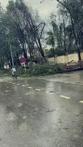Thành vinh sau cơn bão số 5 .Tan hoang😢