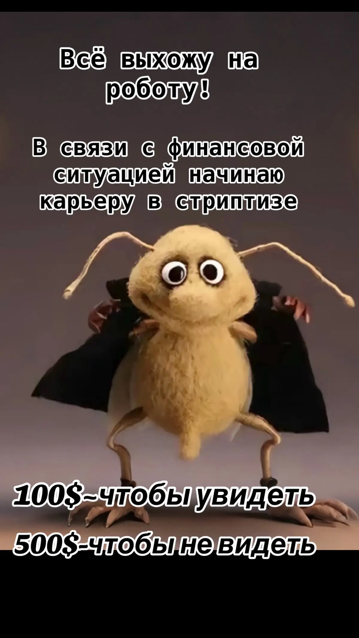 #юмор