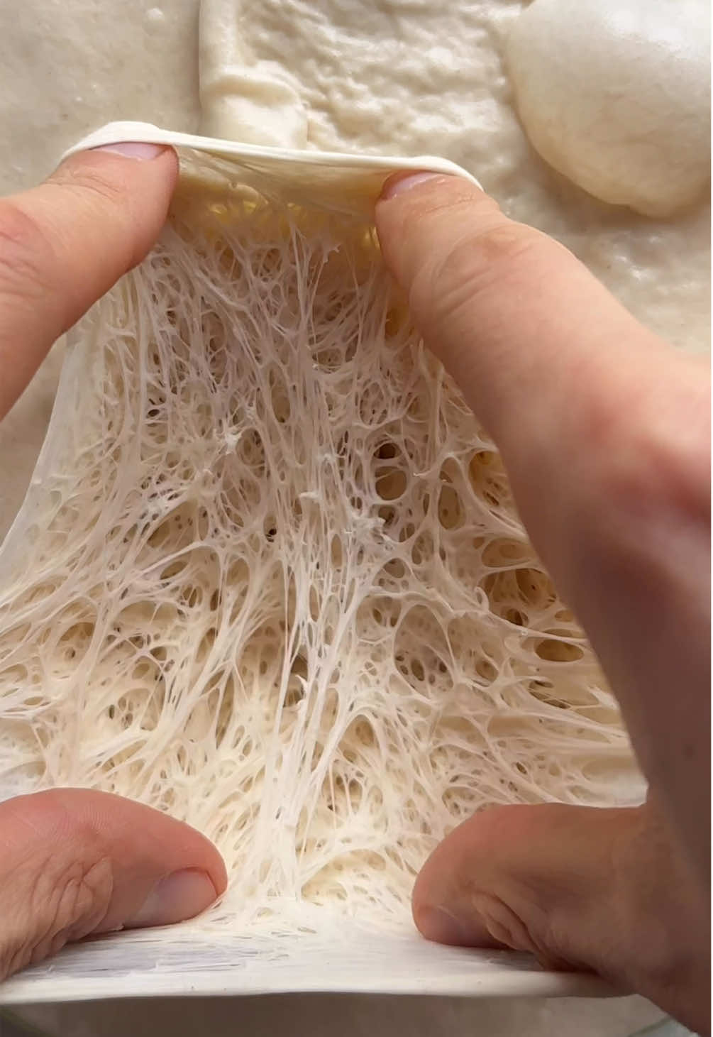 What does the inside of pizza dough look like after 13 hours at room temperature? 🕸️🧐 How I make it: 65% hydration (4 dough balls, ~265g each) 🔘 650g “00” flour 🔘 425g tap water 🔘 0.7g instant dry yeast 🔘 16g salt Step 1: Mix the flour and yeast together before adding the water. Then, gradually add the water little by little until fully incorporated. Take the dough out of the bowl and knead for about 10 minutes. After 10 minutes, add the salt to the dough ball. At this point, I sometimes add a few drops of olive oil to help with the final mix. Knead for another 5 minutes until the salt is completely dissolved. Shape the dough into a ball, cover it with the bowl, and let it rest for about 20 minutes. After that, form the final dough ball, place it in a container coated with olive oil, cover it with a wet cloth, and put the lid on (without sealing it tightly). Let it rest for about 10 (13 in this case) hours at room temperature (20°C). Step 2: After 13 hours, the dough should have tripled in size. Divide it into four equal portions and shape them into dough balls. Place each ball in a separate container (coated with a thin layer of olive oil), and refrigerate for at least 24 hours. You can take them out earlier or even after a few days. Find what works best for you. Step 3: When you’re ready to make pizza, take the dough out and let it come to room temperature for around 3 hours. It’s important that the dough isn’t cold so it stretches more easily. Step 4: Once you’ve stretched the dough, top it with all your favorite ingredients! Enjoy! 🍕 #dough #fermentation #direct #hydration #pizza 