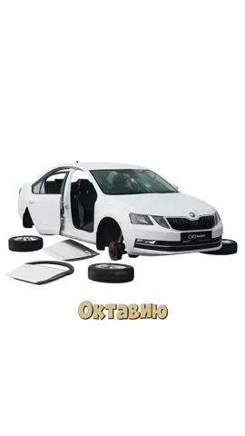 Киса ставит stage 3 на Шкоду Октавиа🔥