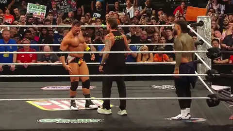 #goviral #jeyusowipeoutcmpunkandlanight#WWE#raw