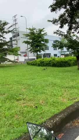 #xh 