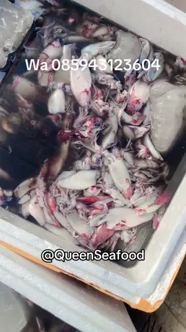 #promomakangajian #promoseruweekend #fyp #fypシ゚viral #fy #fyppppppppppppppppppppppp #seafood #masukberandafyp #viral #viraltiktok #purwosaripasuruan #purwosariawesome 