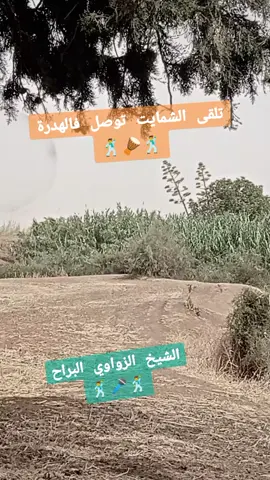 #mascara__29♥️🇩🇿🇵🇸 #saïda20✔🔥 #oron_31_🇷🇺🇩🇿🇸🇾 #oron_mascara__zelamta_😍❤🇩🇿😍 