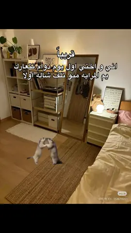 😭😭😭