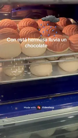 #conchas #chocolate #lluvia #paratiiiiiiiiiiiiiiiiiiiiiiiiiiiiiii #f 