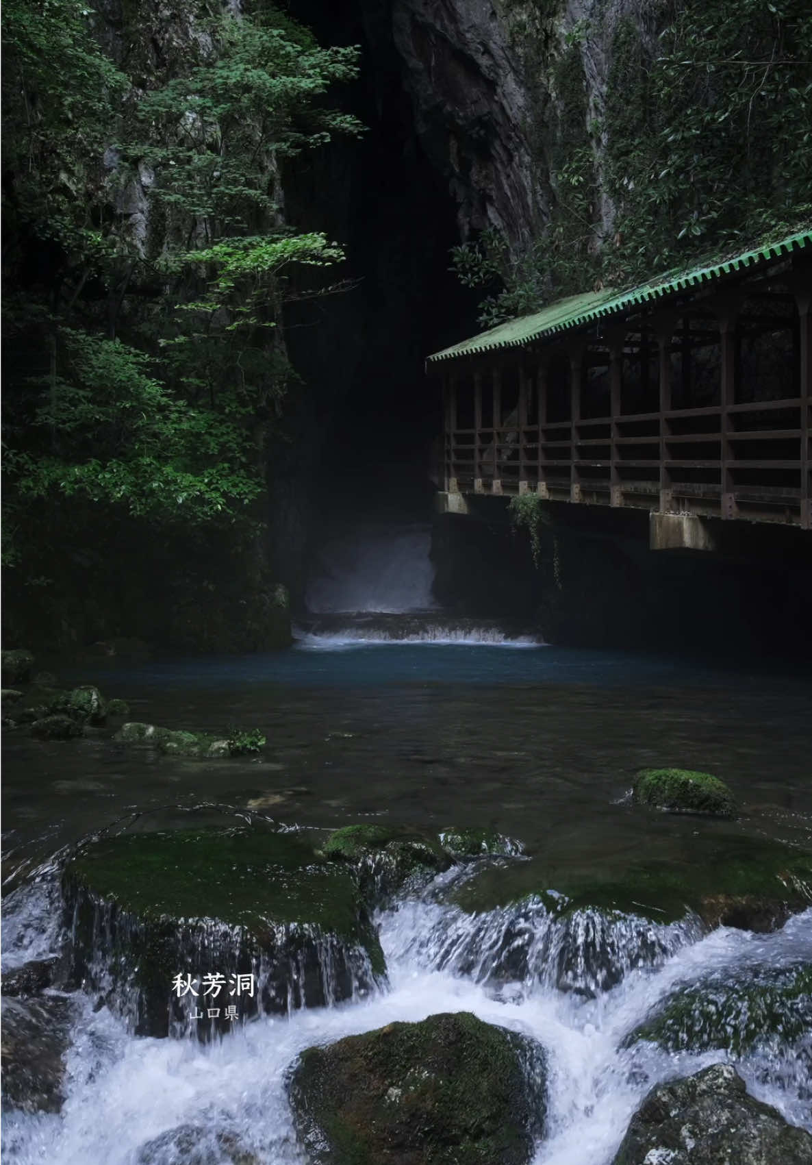 山口の洞窟/秋芳洞