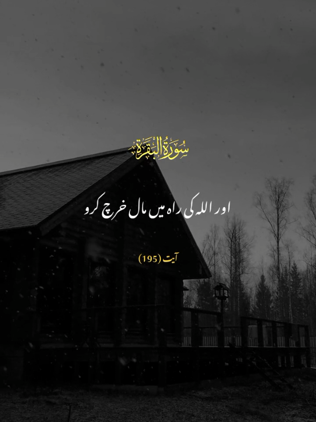 SURAH AL-BAQARAH  VERSE 195 #falaah09 #tarjuma #urdutarjuma #duniyaaefaanii #quranvideo 