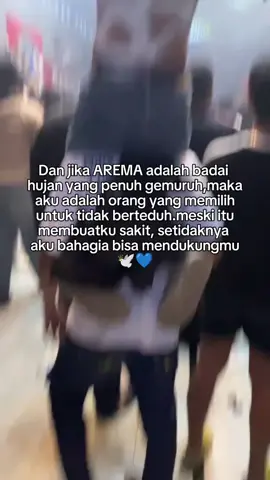 Arema selamanya💙#arema#sasaji#utas#luarkota#fypppppp