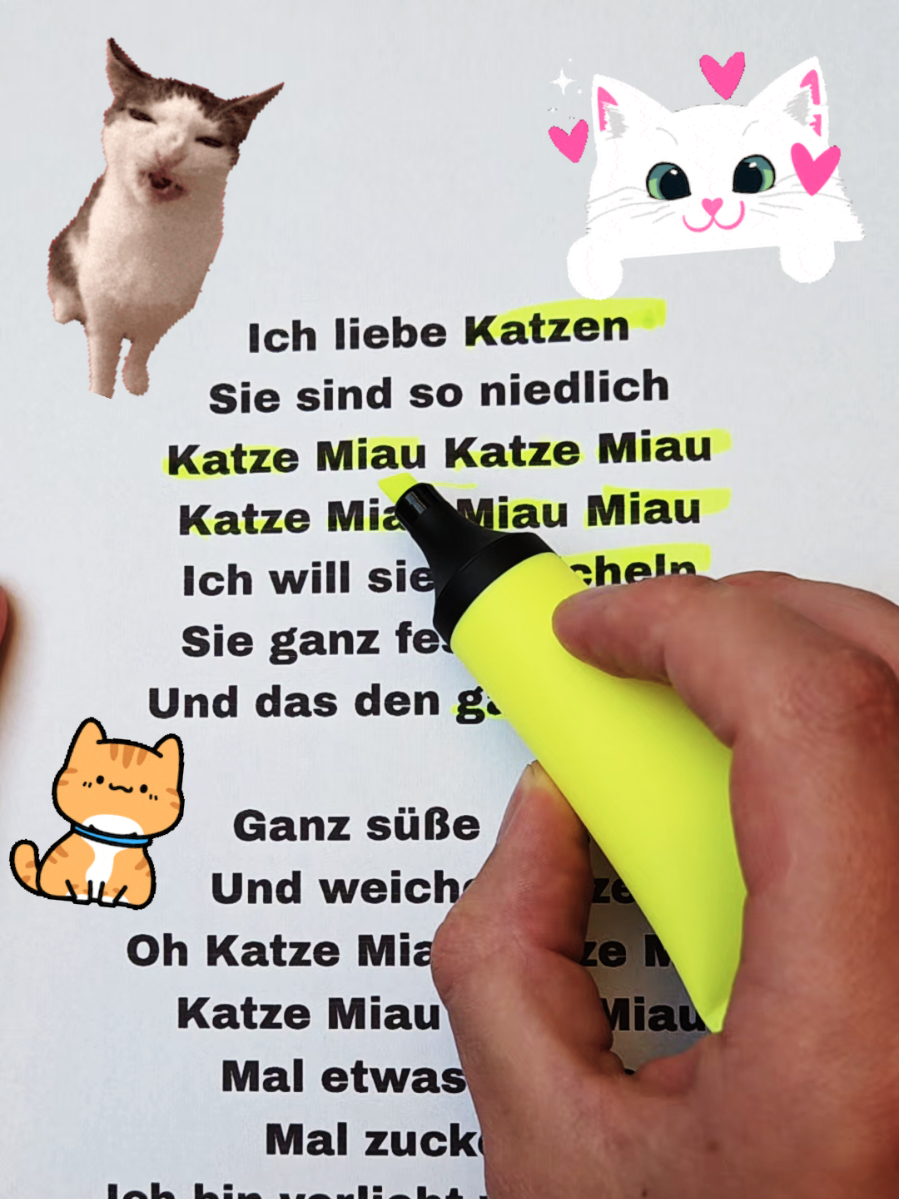 Ich liebe Katzen 🥰 Si sind so niedlich 🩷☺️ #einfachdeutsch #deutchlernen #deutch #deutschkurs #lied 