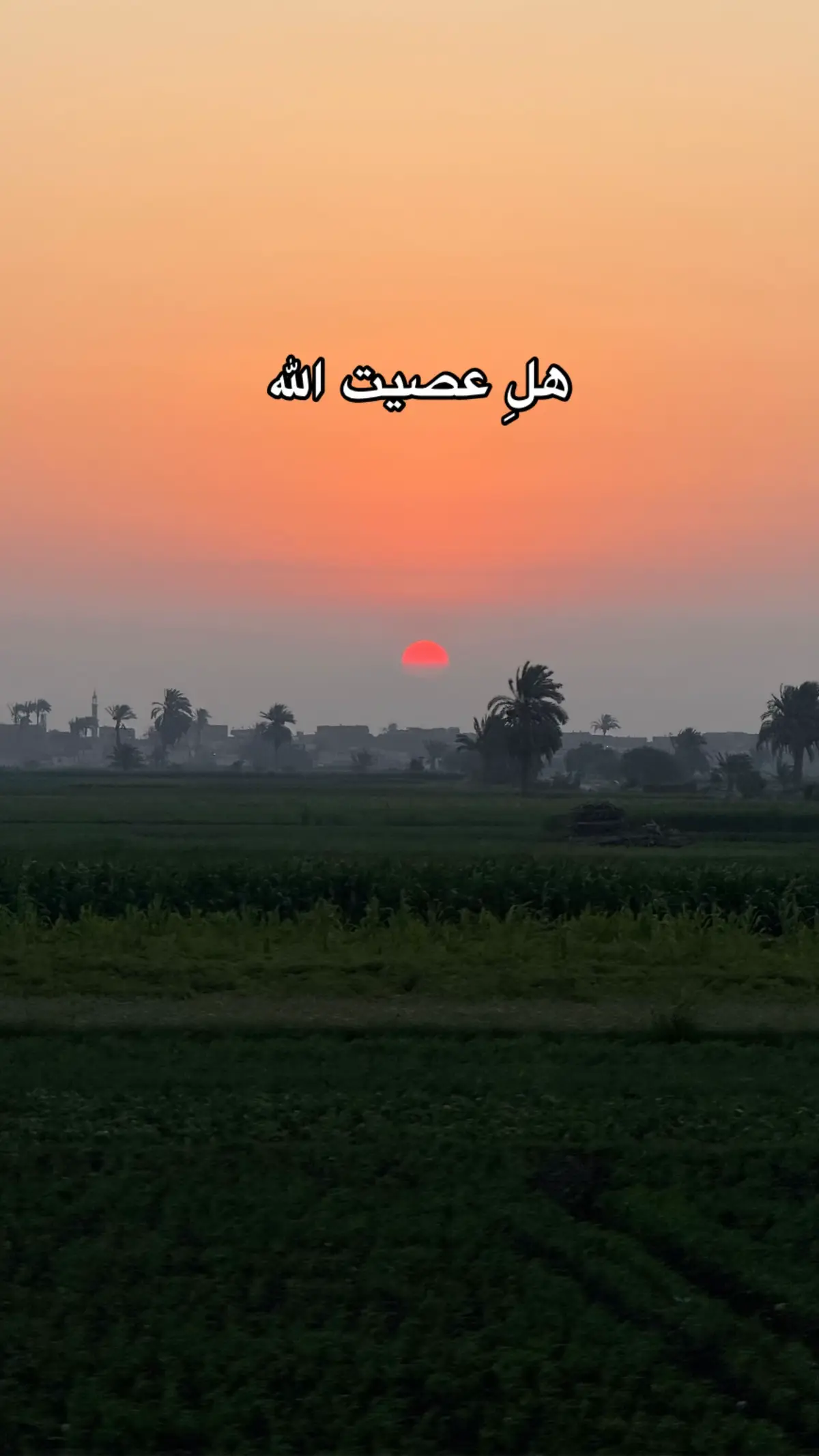 #qurann_kareem_1 #fyp #fypシ゚viral #viral #foryou 