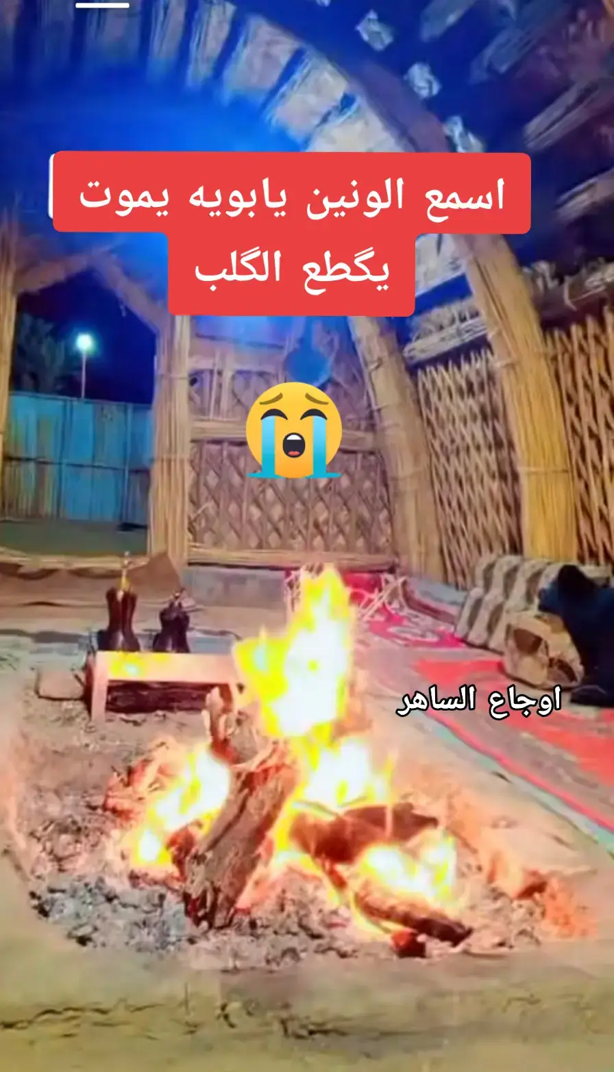 #ونين_يقطع_نياط_القلب_بصوت_جنوبي_حزين  #الحزن💔عنواني💔ــہہہــــــــــہہـ👈⚰️  #الفاقد_عزيز_الله_يعينة  #اوجاع_لاتنتهي_واحلام_لن_تتحقق😴  #تحياتي_لجميع_المشاهدين_والمتابعين 