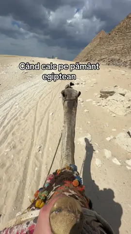 #😂😂😂 #foruyou #fyp #fallowme👈 #viralvideos 