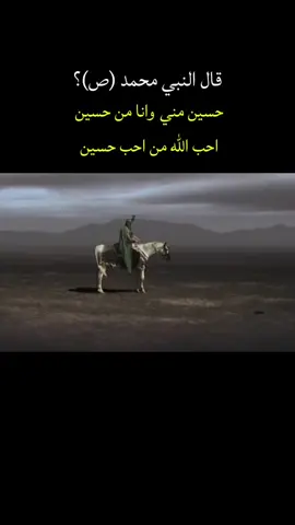 السلام عليك ياابا عبدالله الحسين ♥️ #فاطمه_الزهراء_عليها_السلام_💔 #علي_بن_ابي_طالب #الحسين #النبي_محمد_صل_الله_عليه_و_آله_وسلم #باسم_الكربلائي_عشق_لا_ينتهي 