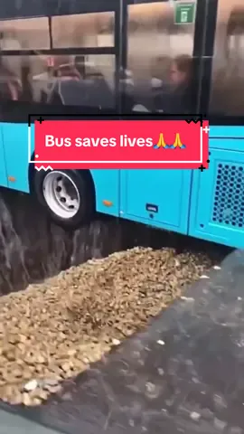 Bus saves lives🙏🙏#michaelcao #advencar 