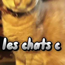 #Meme #MemeCut  Lui, c'est Grokuku. Et il est cool :)