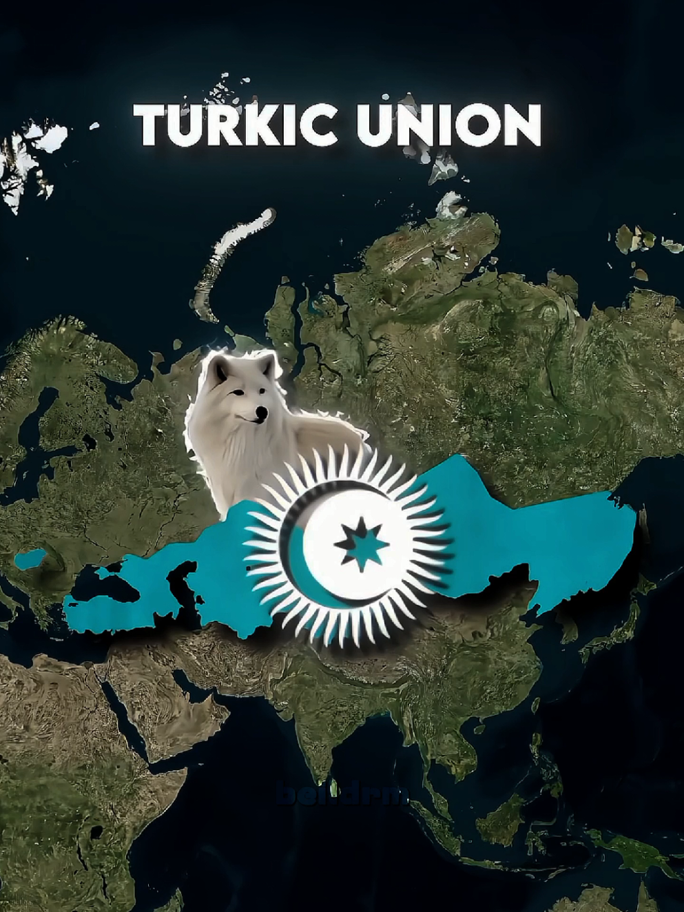 Countries and their Future 🗿🤯  #Countries #Future #history  #Geopolitics #Turkey 