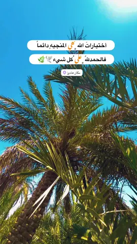 #جزء 292 |#تصويري_احترافي_الاجواء👌🏻🕊😴 #عباراتكم_الفخمه📿📌 #قناتي_تليجرام_بالبايو💕🦋 #لايك_متابعه_اكسبلور_لو_عجبكم 