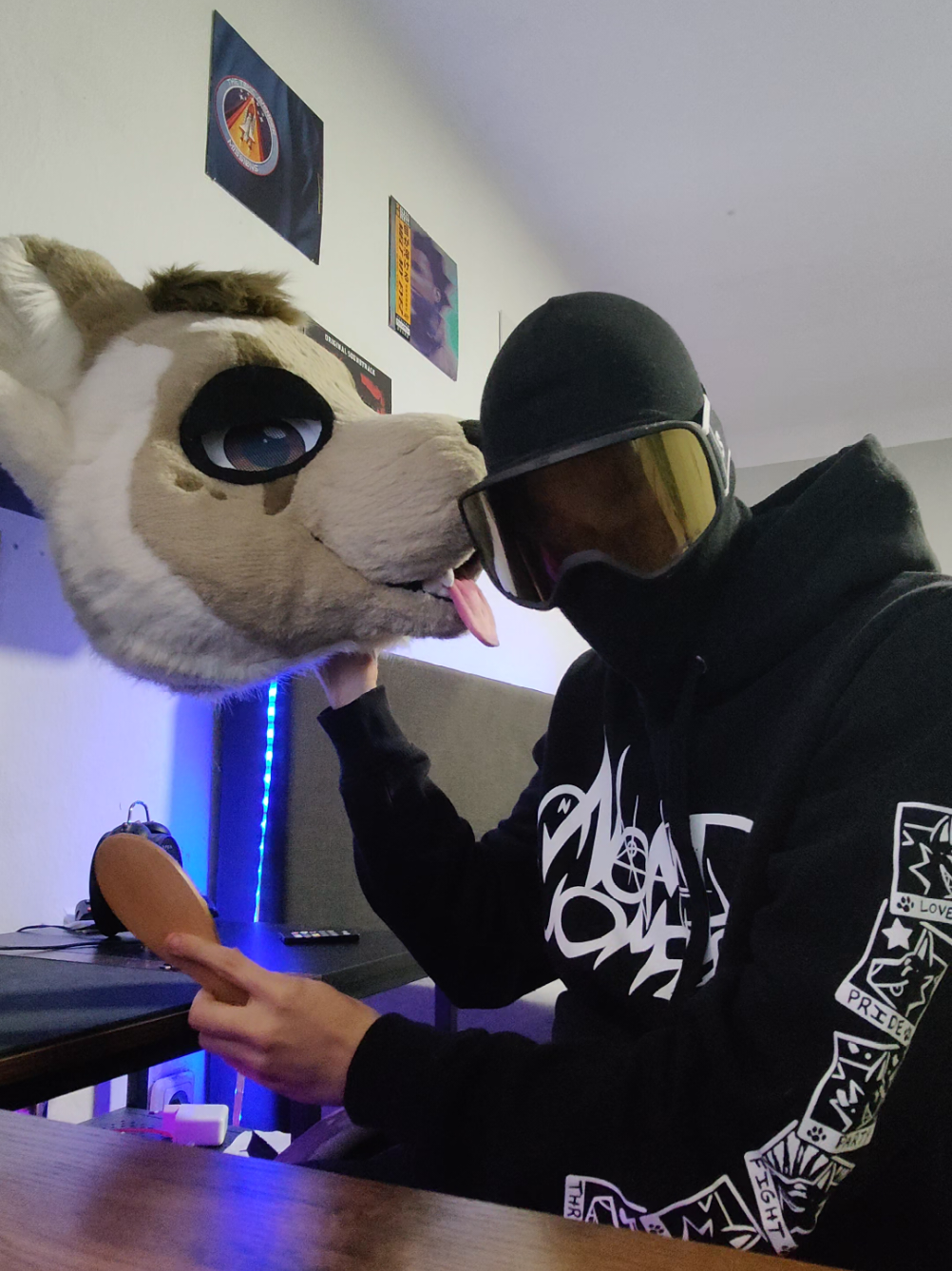 Finally got some new vinyls for my collection with 1 more on the way :3c #furry #fursuit #furryfandom #fyp #lgbt 