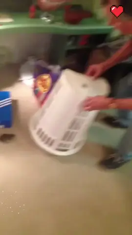 The new tenant is not very friendly 🤯🤣😱#fyp #foryou #crazy #tiktok #usa #foryourpage #funnyvideos #rat #dangerous #animals 