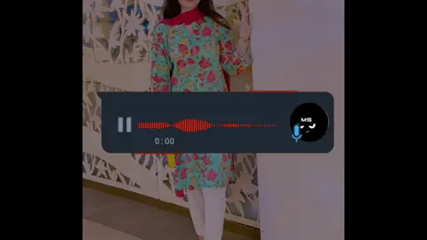 Meri aashiqui Pasand Aaye #newsong #panjabisong #slowandreverb #foryou #fullsong 
