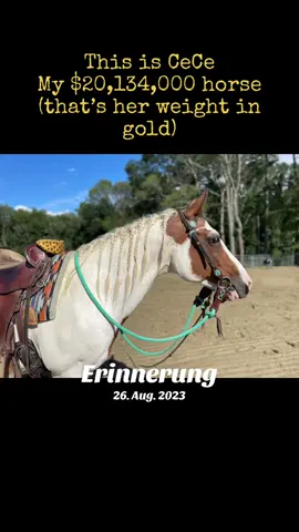 #erinnerung 