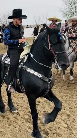 Y chi chi chi todos los que decían que no la íbamos hacer 🤠😮‍💨 #caballosbailadores #frison #ranchobaile 