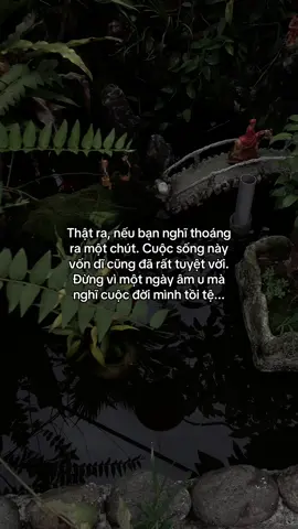 …#tamtrang #story 