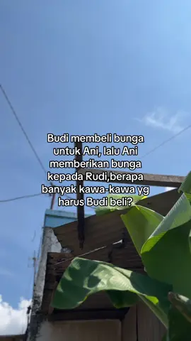 Apakah budi semaput#masukberanda #jawapride #bismillahfyp #fouryoupage 