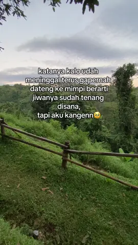 🥹🥹#kangenibu #piatu #anakbungsu #rinduibu #fypシ 