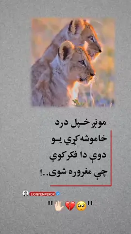 #تاجک__اوزبگ__پشتون__هزاره__ترکمن🇦🇫 
