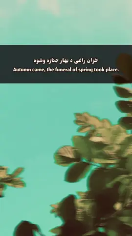 Autumn came, the funeral of spring took place. ❤️‍🩹🕊️ #creatersearchinsights #foryou #viral #100kviews #خزان 