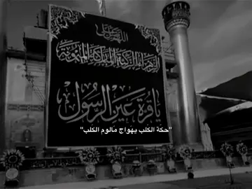 حكَة الكَلب يهَواج مَالوم الكَلب…🤎🎧#ستوريات_حسينيه #ياابا_الفضل_العباس #عاشوراء #لايك__explore___ #العراق #foryou #fyp #كربلاء #المصمم_حمودي🏴 #مشاية_الامام_الحسين #313 