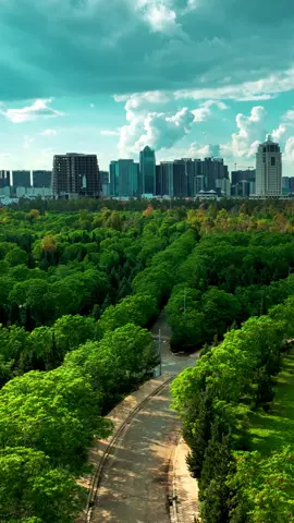 in the upcoming years, Erbil will be one of the most greenery cities in the world. Soon by KRG and its Prime Minister  @erbil 📸 #Erbil #VisitKurdistan  #Kurdistan #Hawler #کوردستان  