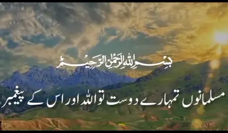 #Allah #alquran #foryou #Quran #tiktok #islamic#islamic_video #fyp #islamic #forypupage