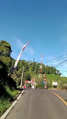 Kau mengajak aku ke sana 🤗☺ #fypシ゚Bukitberbunga🌹🌿🌈💥💥 