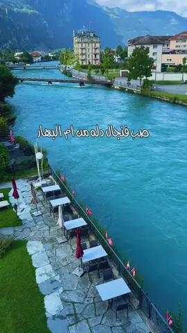 #مجرور  #راعي_الاولِه 