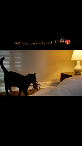POV: my cat brought me a “gift” 🎁🐾 #cattok #funnycats #catlife #fyp #catmemes